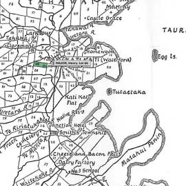 SETTLER MAJOR, Henry. Lot 66 Tahawai Settlement