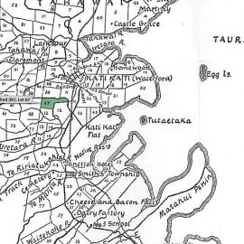 SETTLER GINDERS, Alfred (Dr). Lot 67 Tahawai Settlement