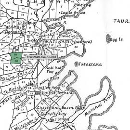 SETTLER STEVENSON, Rupert. Lot 68 Tahawai Settlement