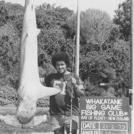 A hammerhead shark caught at Maketu