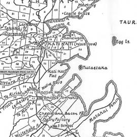 SETTLER ROWLEY,  Hon. Randolph. Lot 72 Tahawai Settlement