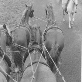 The mail stagecoach being ambushed!