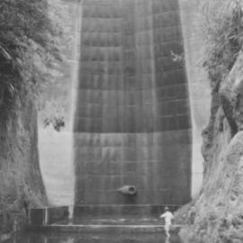 Raymond Dam repairs, Te Puke