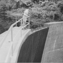 Raymond Dam, Te Puke