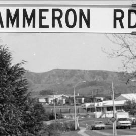 Misspelt signage on Cameron Road, Te Puke