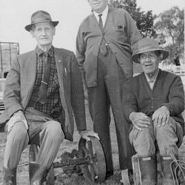 The final sale at the Farmer's Auctioneering Company's sale yards at Te Puke