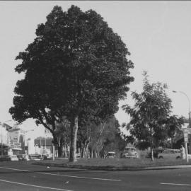 A view of Te Puke CBD