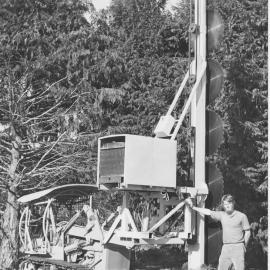 An early shelter trimmer, Te Puke