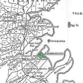 SETTLER MULGREW, John. Lot 29 Te Mania Settlement