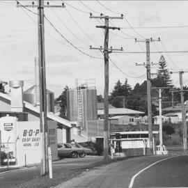 Te Puke Dairy Factory