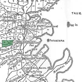 SETTLER RIDDELL, Sarah. Lot 73 Tahawai Settlement