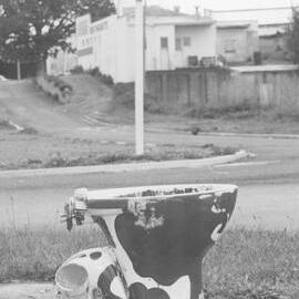 A little humour outside Mansons Butchery, Te Puke