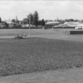 The Jamieson Oval, Te Puke