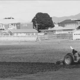 The Jamieson Oval, Te Puke
