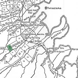 SETTLER GOSS, Stephen. Lot 78 Te Mania Settlement
