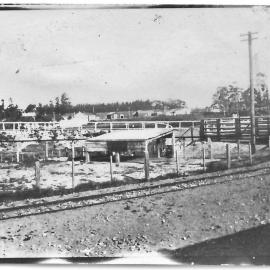 Katikati railway with stock yard in the background