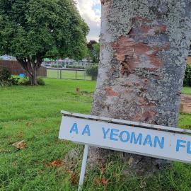 Removal of pensioner units from Heron Crescent, Katikati