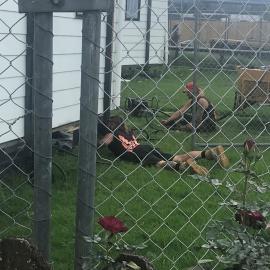 Removal of pensioner units from Heron Crescent, Katikati