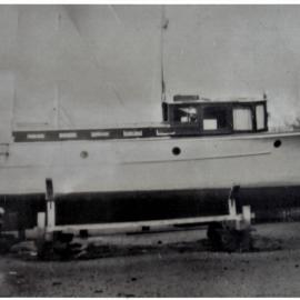 Royal Saxon at Athenree