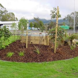 The Kauri Dam, Diggelmann Park, Katikati