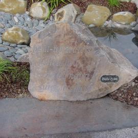 The Kauri Dam, Diggelmann Park, Katikati