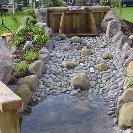 The Kauri Dam, Diggelmann Park, Katikati