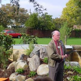 The Kauri Dam, Diggelmann Park, Katikati