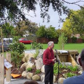 The Kauri Dam, Diggelmann Park, Katikati
