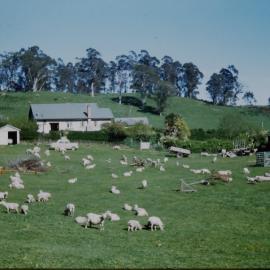 The Bent Farm at Belk Rd, Tauriko