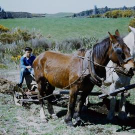George Bent horse ploughing at Belk Rd
