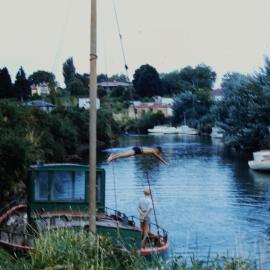 Launches and swimmers at Katikati Landing