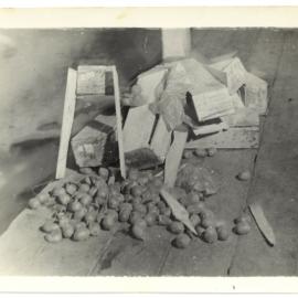 From citrus to kiwifruit