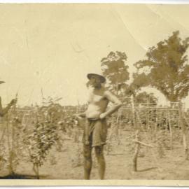 From citrus to kiwifruit