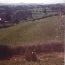 Riverdowns Farm, Wainui South Road