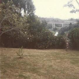 Riverdowns Farm, Wainui South Road