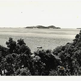 View from Kauri Point