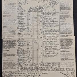 Rongoā information poster