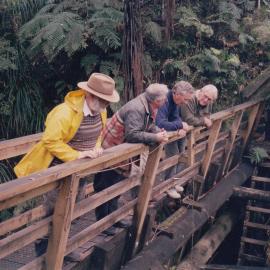 Katikati Rotary visit to Kauaeranga Valley