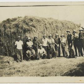 Building a haystack in Rea Road, Katikati
