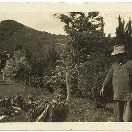 Ostriches with visitor