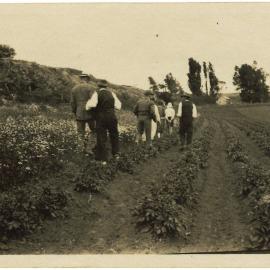 Mt. Stewart (Ongare Point)
