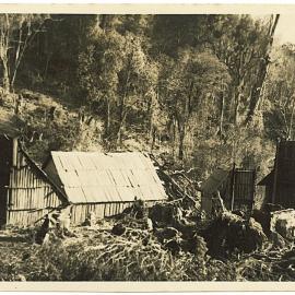 Logging camp in the Kaimai Ranges