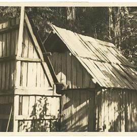Logger's cabin in the Kaimai Ranges