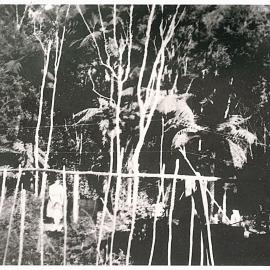 Behind the Bradley's home