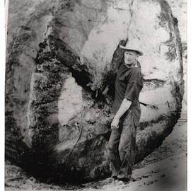 Fred Damn and a kauri log (close-up)