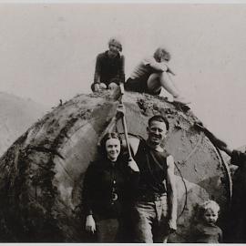 Logs at the mill (close-up)