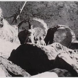 Logs at the skids (close-up)