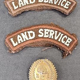 Marjory Shaw's wartime insignia