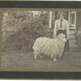Lincoln Nanny lamb