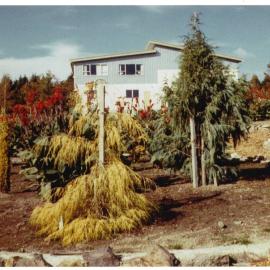 The early days of McClouchlin Park, Te Puke
